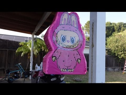 F*** Cancer Vlog | sister love, carne asada , labubu