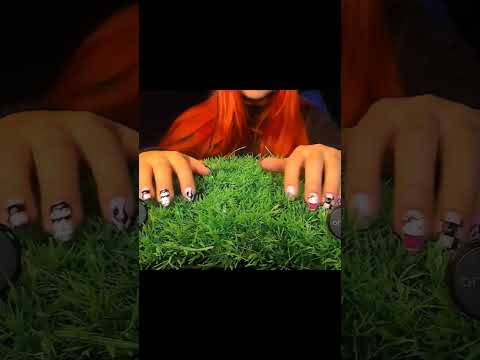 This Sound Is So Satisfying… 😍 | ASMRScratching (No Talking) #tingles #shorts #asmr