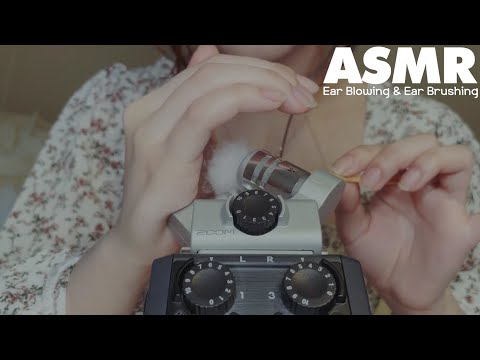 ASMR🌙 따스한 이어블로잉과 솜털 터칭ㅣ좌우 구분이 확실한 따뜻한 바람ㅣEar Blowing & Ear Brushing