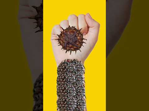 What happened Men face sound~miniwood toy woodworking art and skill #shorts #asmr #handcare