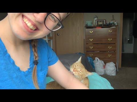 I Tried Filming An ASMR Video But My Cat Wanted to Lick Me Instead