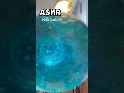 ASMR || Fish bowl 🐟