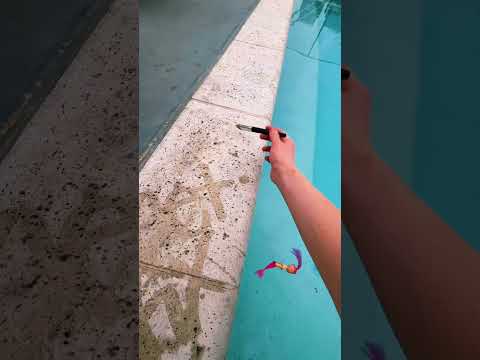 guess the celebrity asmr game at the pool for relaxing sleep and adhd #asmr #asmrgames #satisfying