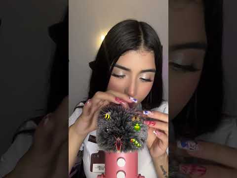 #asmr #atención #insects