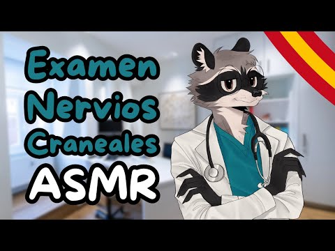 [Furry ASMR] Examen de los Nervios Craneales | Fursuit Tingles | ESPAÑOL