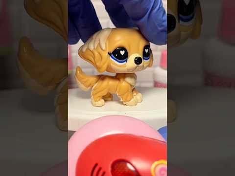 LPS Doctor Check Up! ❤️‍🩹 #lps #littlestpetshop #doctor #asmrdoctor #asmrvideo