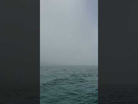 Misty Seas... Yet to reveal what's next...