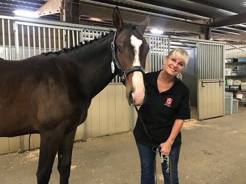 **A PEEK INTO MY LIFE...MY HORSE LIFE**  (Just a little bit ASMR-ish.)