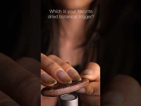 #asmr Which is your favorite dried botanical trigger?
