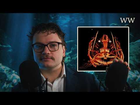 ASMR: The Hadal Zone, Ocean Trenches and Interesting Marine Life | Ear-to-ear Whispering