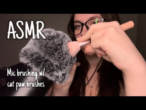 ASMR Mic brushing | New cat paw brushes 