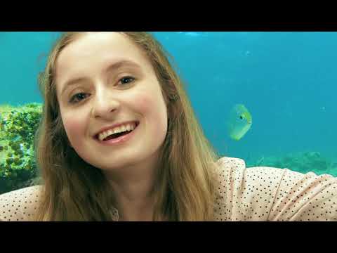 ASMR German 🧜‍♀️ You Become A Mermaid 🧜‍♂️