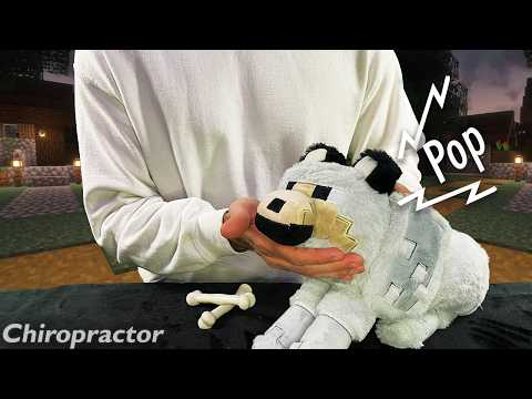 A Relaxing ASMR Chiropractic Adjustment on your Minecraft Wolf