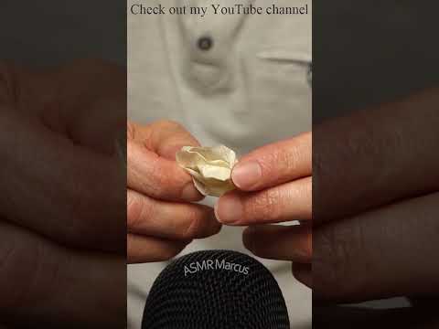 ASMR Gentle Sticky Masking Tape #short