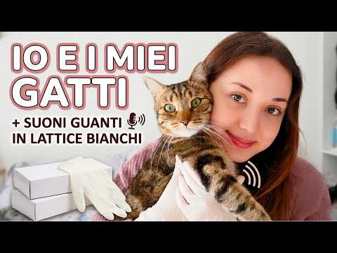 INSTANT Collapse! 💤 ASMR ITA: Intense Sounds, Latex Gloves, and My Cats 😻