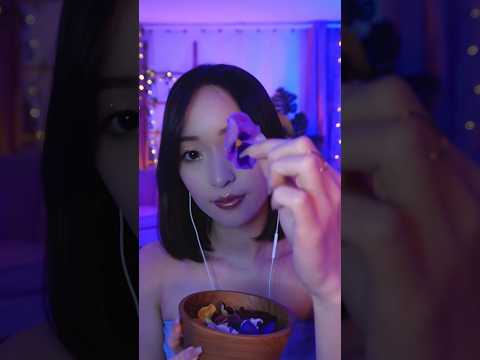 Fleurs ASMR 🌸🌼🪻🌱 (partie 1)