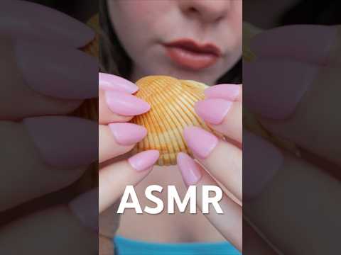 let me tap on some seashells for you 🐚✨ #asmr