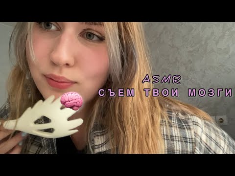асмр съем твои мозги | lo-fi asmr |быстрая ролевая игра