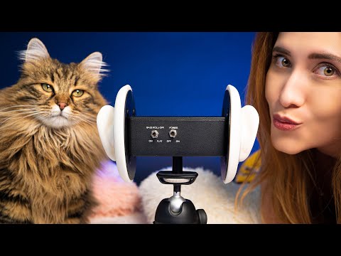 ASMR CON MI GATO #shorts
