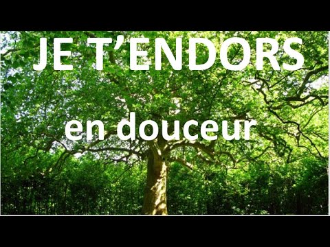 {ASMR} Je t'endors en douceur