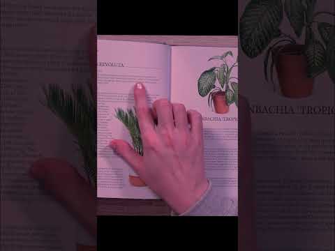 ASMR Page Flipping & Whispering #asmr #asmrbooks #asmrpageturning #asmrwhispering