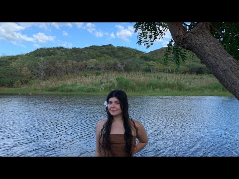ASMR NA NATUREZA (Interior do Ceará) Sons de árvores, folhas e água 🍃 🌲🌊