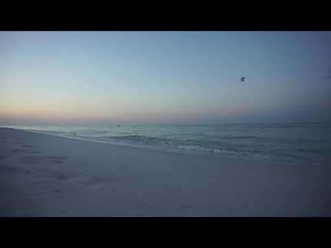[ASMR] Ocean Waves - Background Sounds - NO TALKING