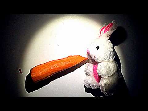 What has a Rubber Glove to do with a 🇨🇦🇷🇷🇴🇹 ❔ Bunny shows🐰 [[ASMR]]