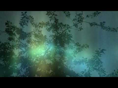 THUNDER AND RAIN AT NIGHT 🖤🌙 WITH DUTCH WHISPER 👄🇳🇱🎧  [[ASMR]]
