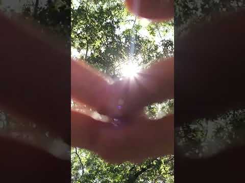 ASMR Nature Reiki for Alignment + Freedom