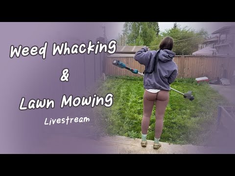 Weed Whacking & Lawn Mowing Livestream