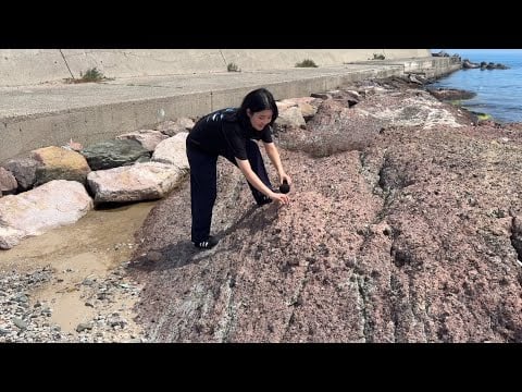 Summer Vacation ASMR 🌊🪨 | 100+ tapping, scratching ☀️