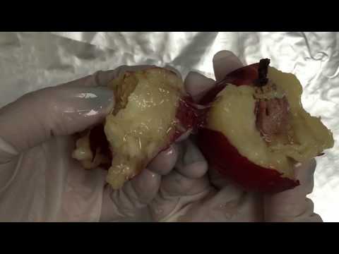 Latex Gloves MESSY💋  Eat the Peach🍑 Wet Gloves [[ASMR]]