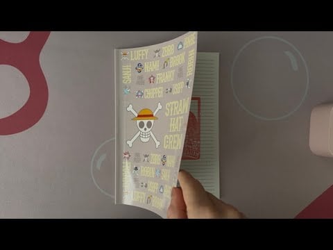 ASMR Flipping Through A One Piece Notebook | No Talking
