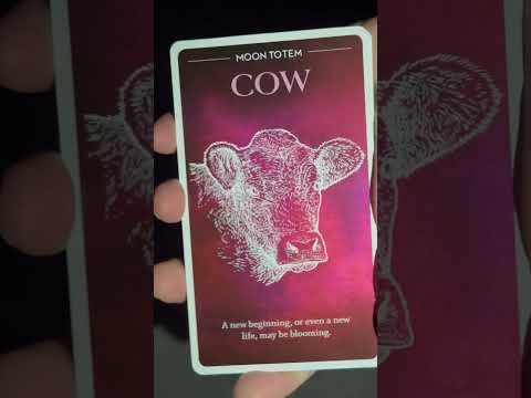 What’s on the horizon? #oraclecards