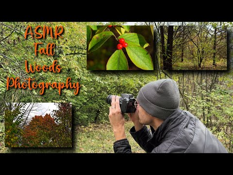 [ASMR] Nature Photography! 🍂🍃