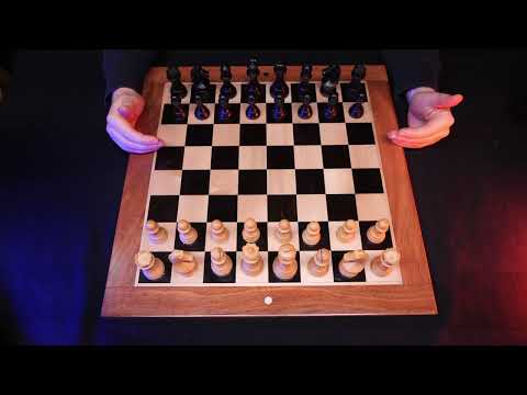 CHESS WORLD CHAMPION SPEEDRUN WORLD RECORD ♔ ASMR