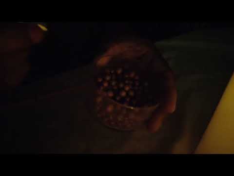 BRONZING PEARLS TRIGGER | ASMR | Relaxing Sound For Deep Sleep  #asmr #foryou #fordeepsleep #tingles