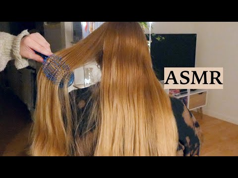 ✨ASMR Hair Brushing (No Talking) ✨