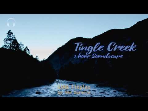 Tingle Creek [ASMR] ★ 1 Hour Soundscape ★ [Binaural] [Multi layer] [humming] [new triggers]