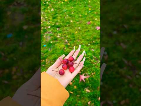 #viral #asmr #shorts #nails  #naturalnails #relaxing #satisfying