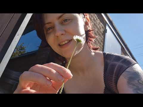 ASMR in My Garden 🌿