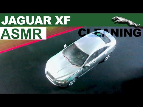 [ASMR] Jaguar XF detailing and cleaning with latex gloves and soft spoken | Relaxing triggers