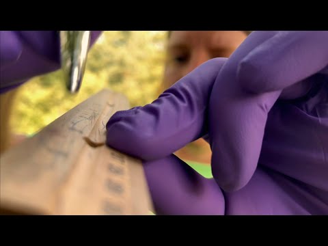 ASMR | Outside Cranial Nerve Exam but Everything Is Wrong