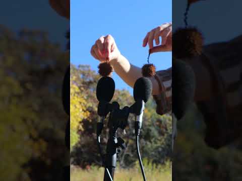Prickly Outdoor #ASMR Scratching