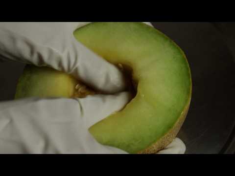 ASMR Sound of Hands Touching an Amazing Melon 💦