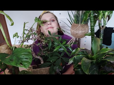 ASMR os enseño mis plantitas