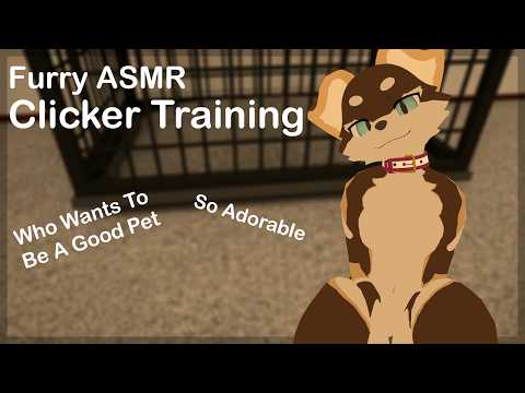 [Furry ASMR] Pet Clicker Training.