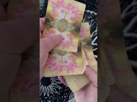 🧚‍♀️You are Magical💫 ASMR Fairy Oracle Reading #asmr #tarot #fairiesoracle #oraclecards