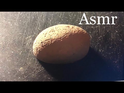 ❤️ ASMR Paléontologie : on découvre un dinosaure - unboxing, scraping, brushing - whispering
